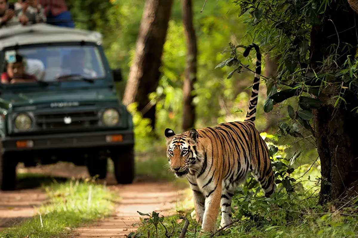Chitwan National Park